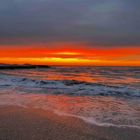 * Le Floreal * Magnifique T3 Vue *